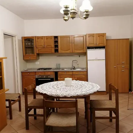 Little Star Pioppa *