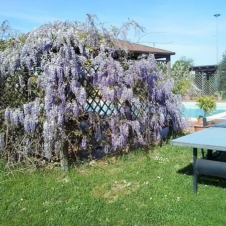 Apartman Little Star Pioppa