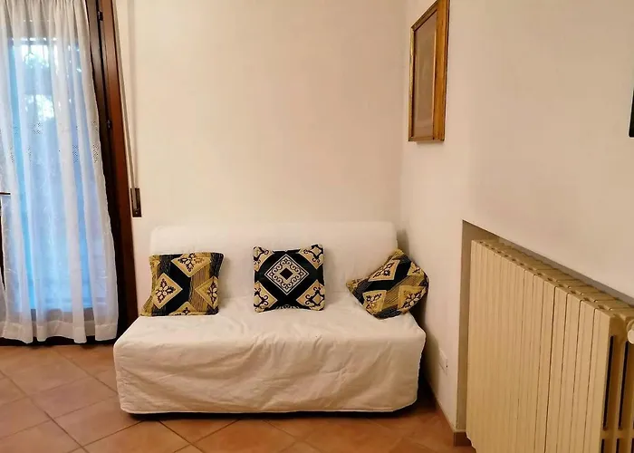 Little Star Pioppa Riondi